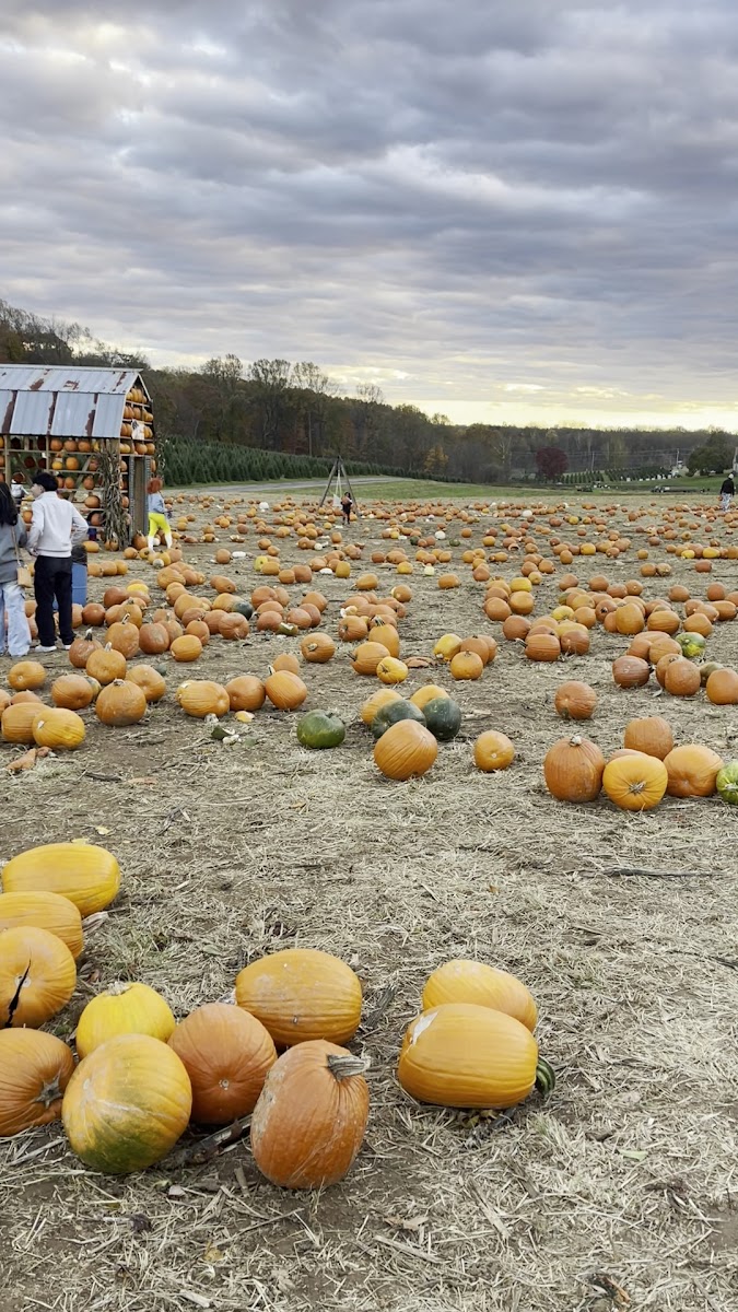 Gaver Farm, LLC photo 3