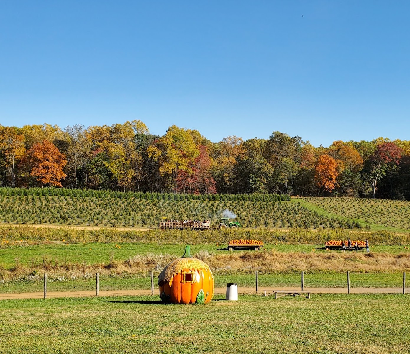 Gaver Farm, LLC photo 5