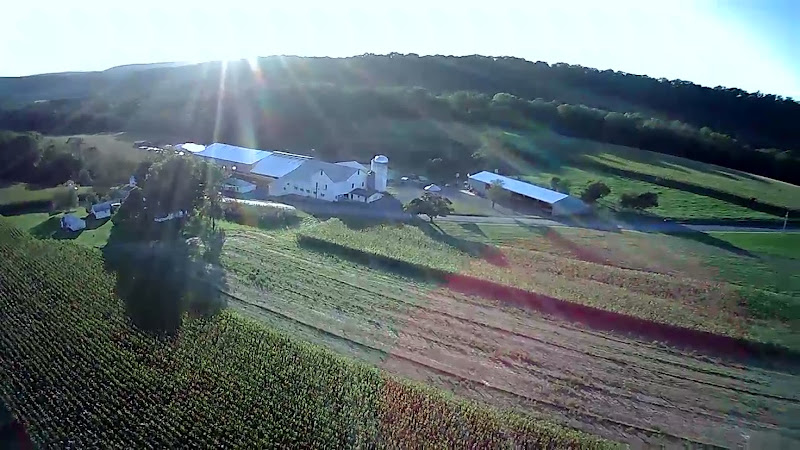 Blue Rooster Farm