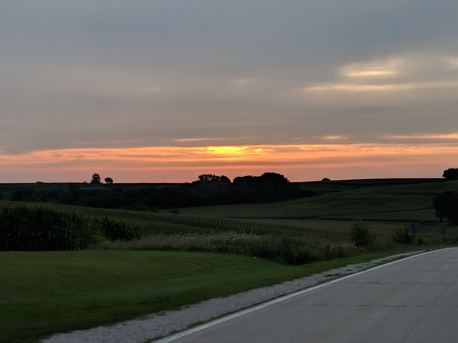 Russell Farm & Ranch photo 2