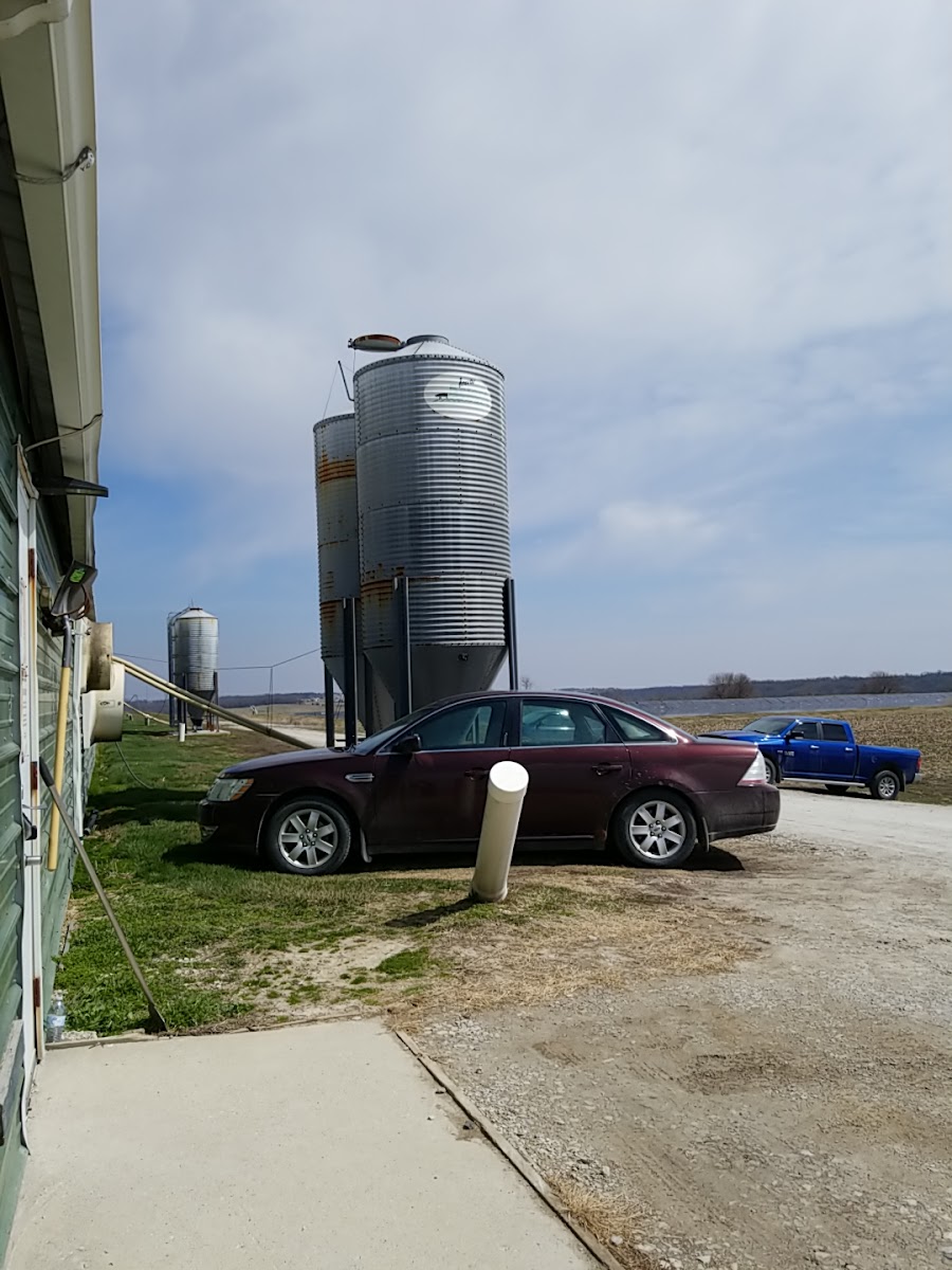 Russell Farm & Ranch photo 3