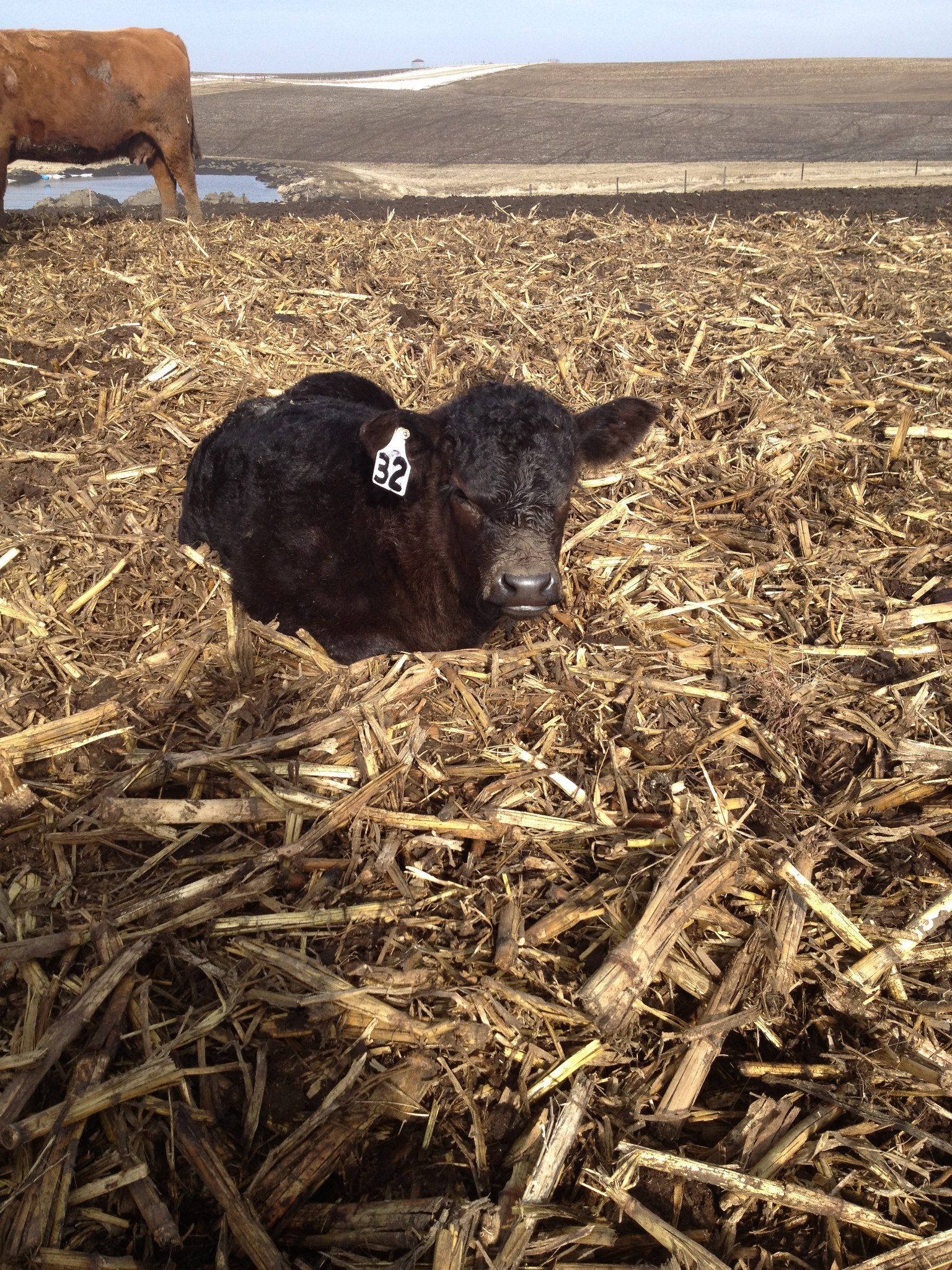 Russell Farm & Ranch