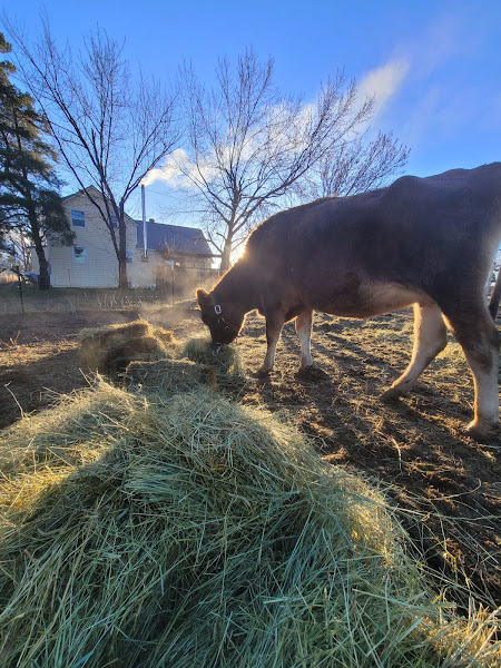 The Living Land Ranch