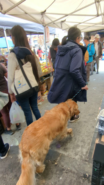 South Boston Farmers' Market