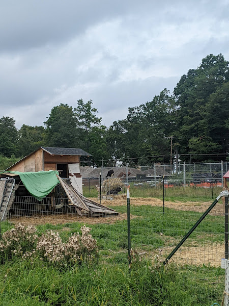 The Bowen Family Farm
