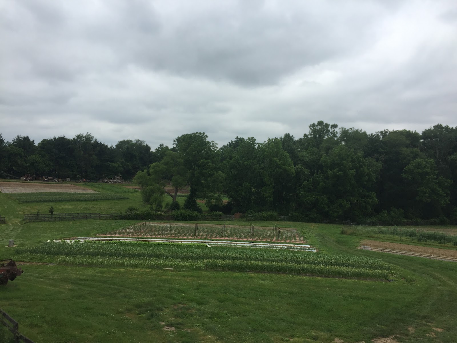 Roberts Roost Farm