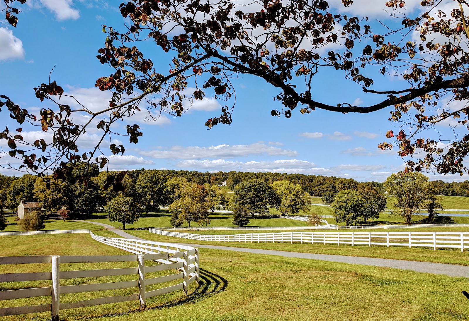 Roberts Roost Farm photo 2