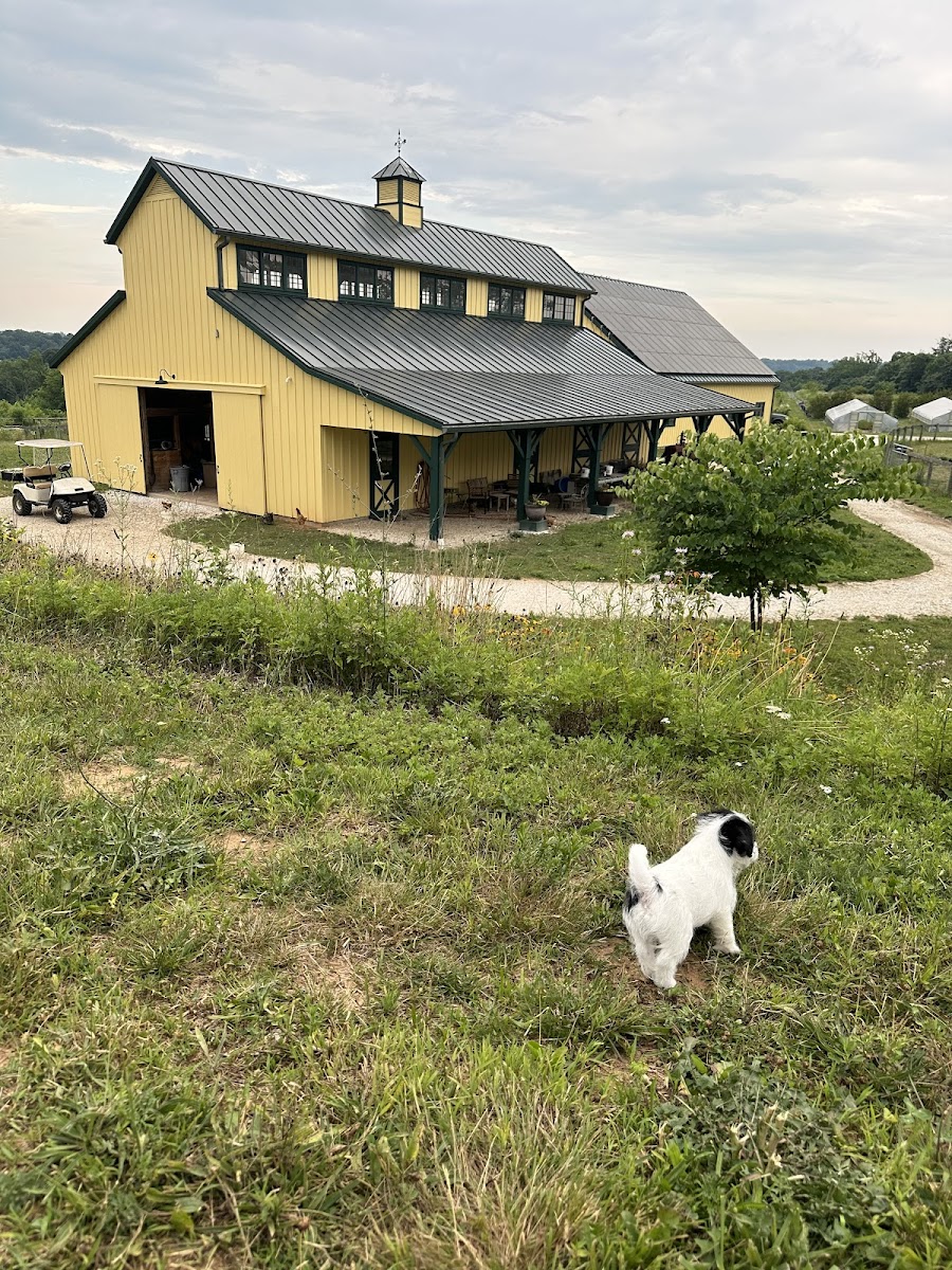 Roberts Roost Farm photo 4