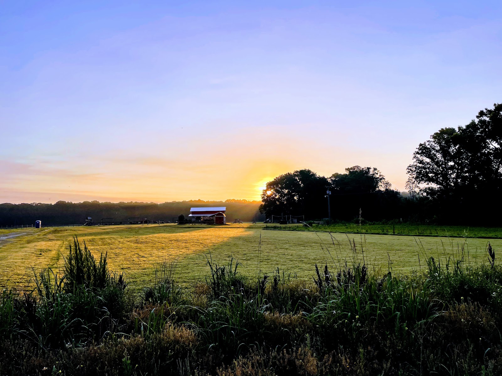 Odom Farming Company, Inc photo 2