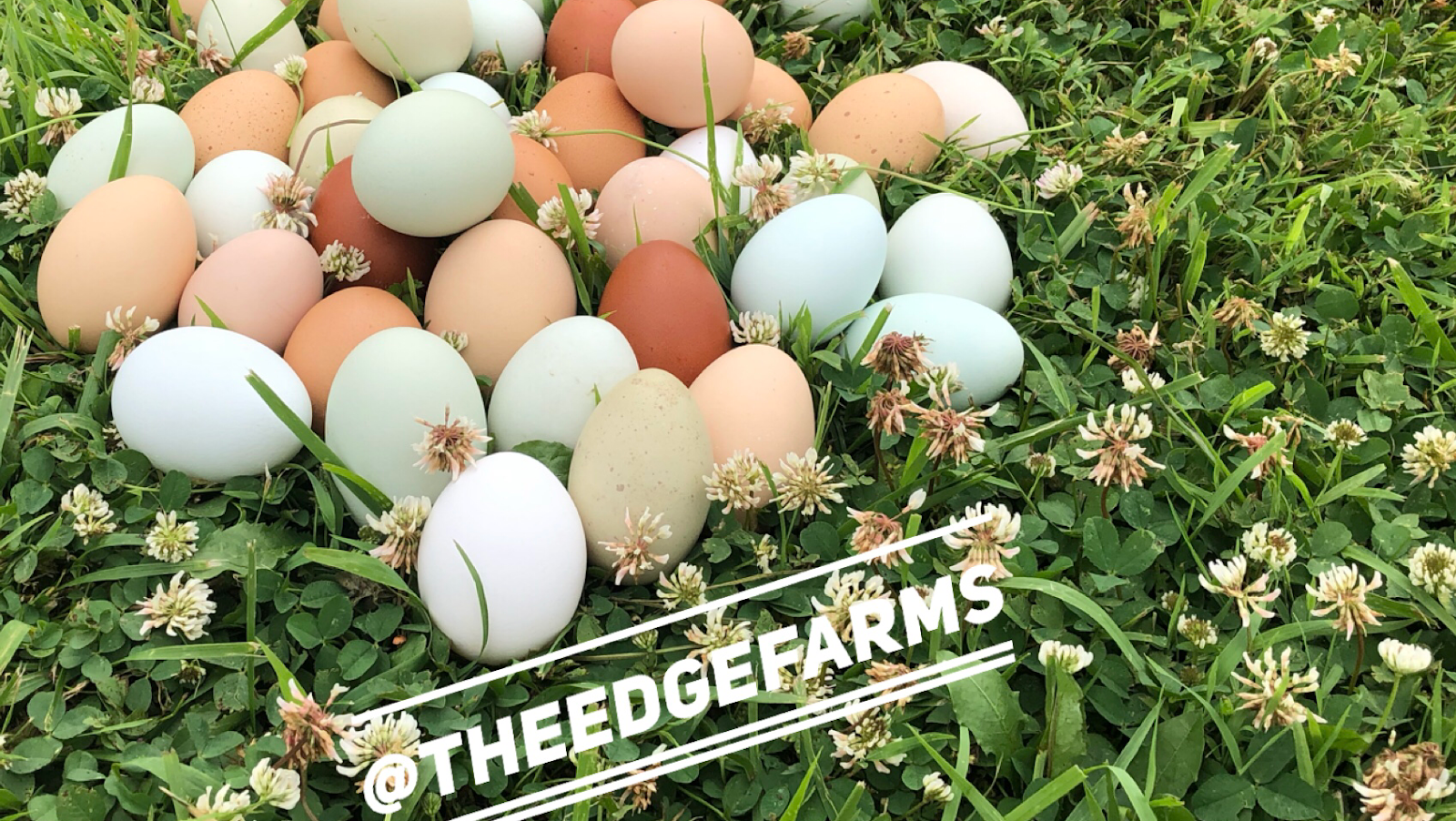 Highspire Hills Farm, LLC photo 3