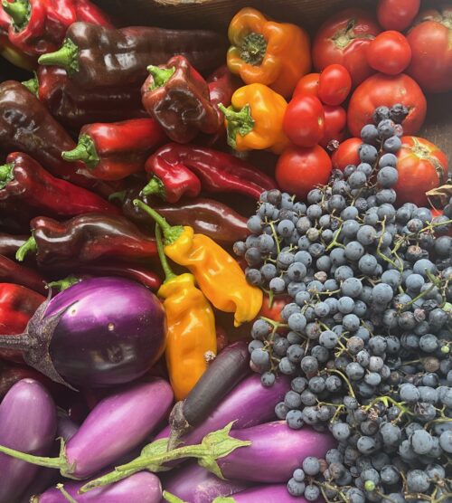 Sedona Community Farmers Market