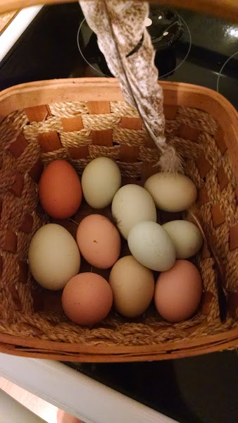 Rane Beau Hill Farm photo 2