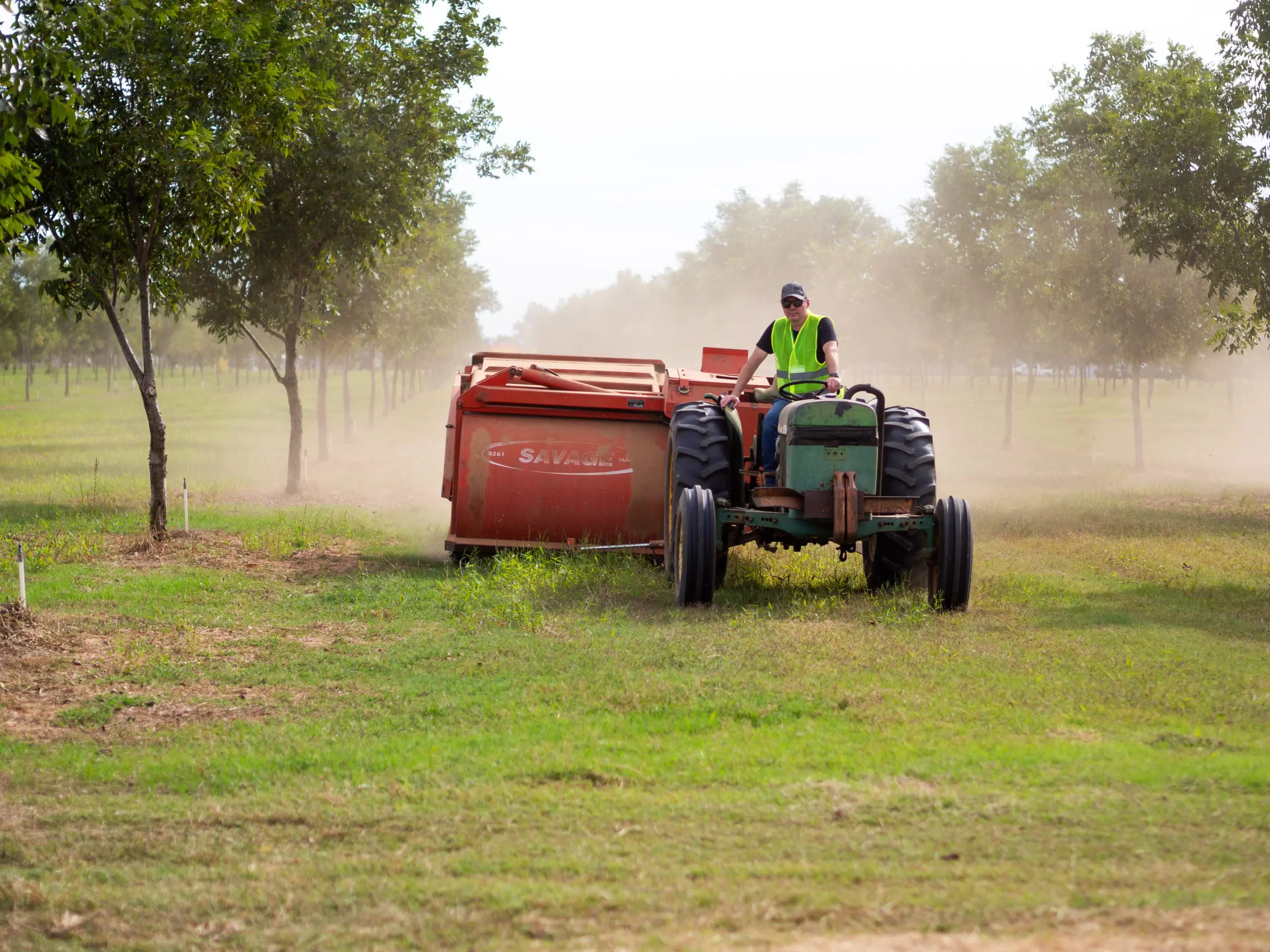 Buchanan Family Pecan Farm photo 14