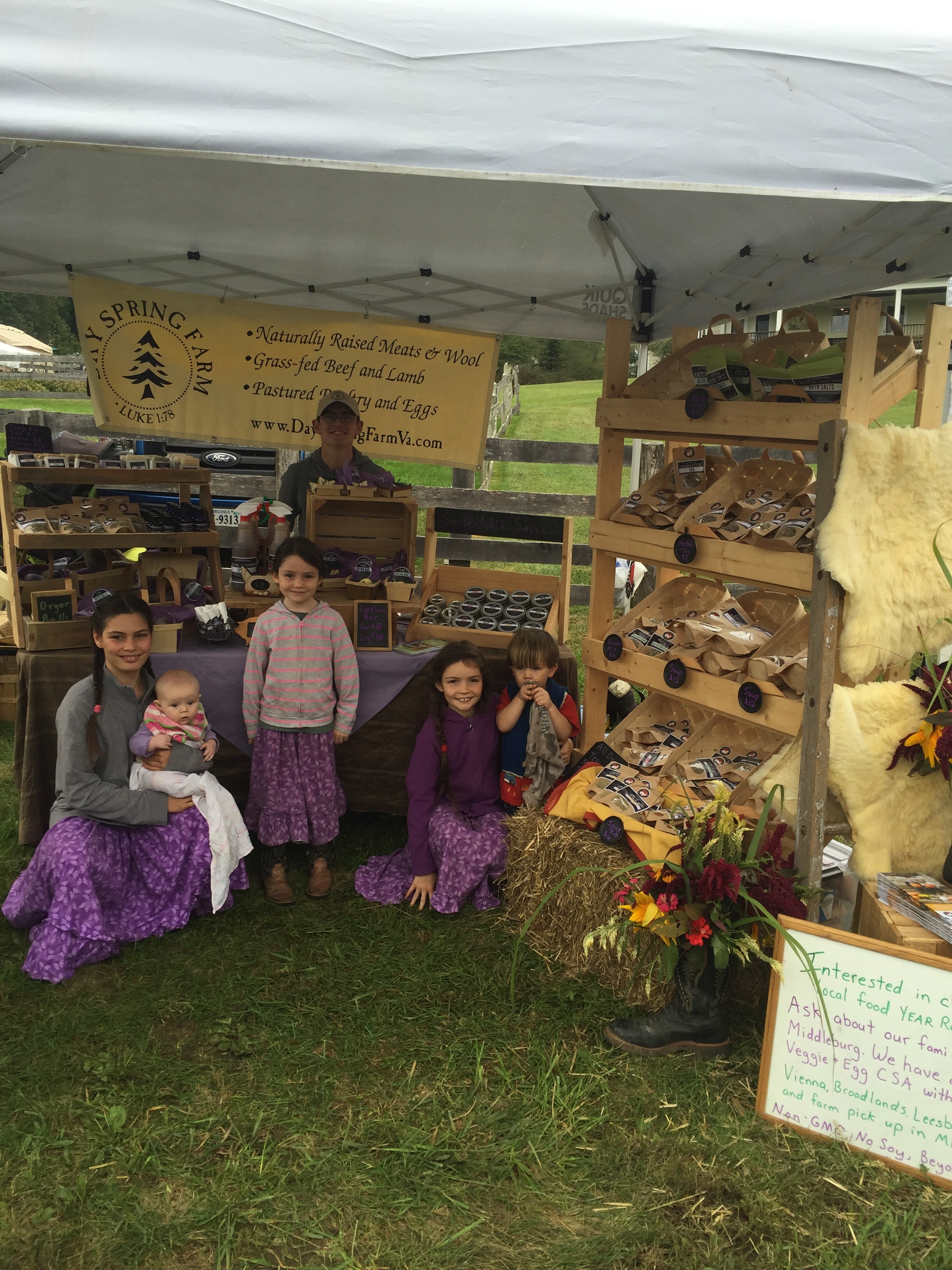 Day Spring Farm photo 6