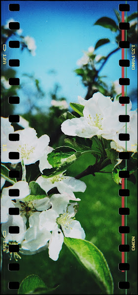 Core Orchards Detroit photo 2