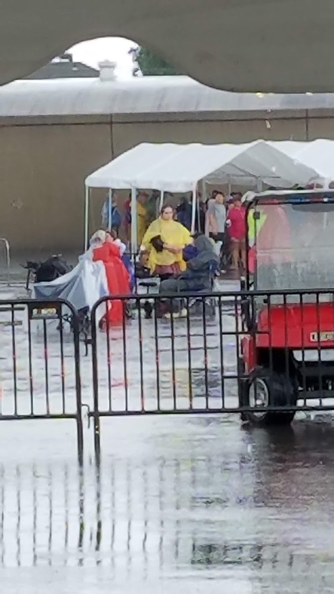 Downtown Paducah Farmers Market photo 3