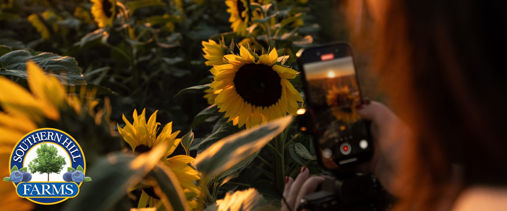 Southern Hill Farms, Inc.