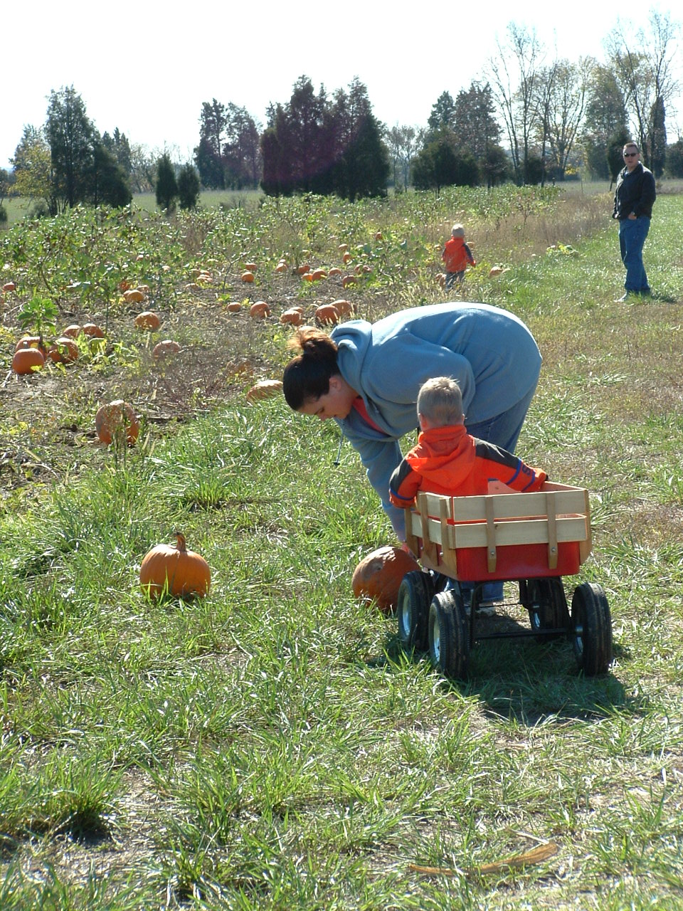 Yankey Farms photo 5