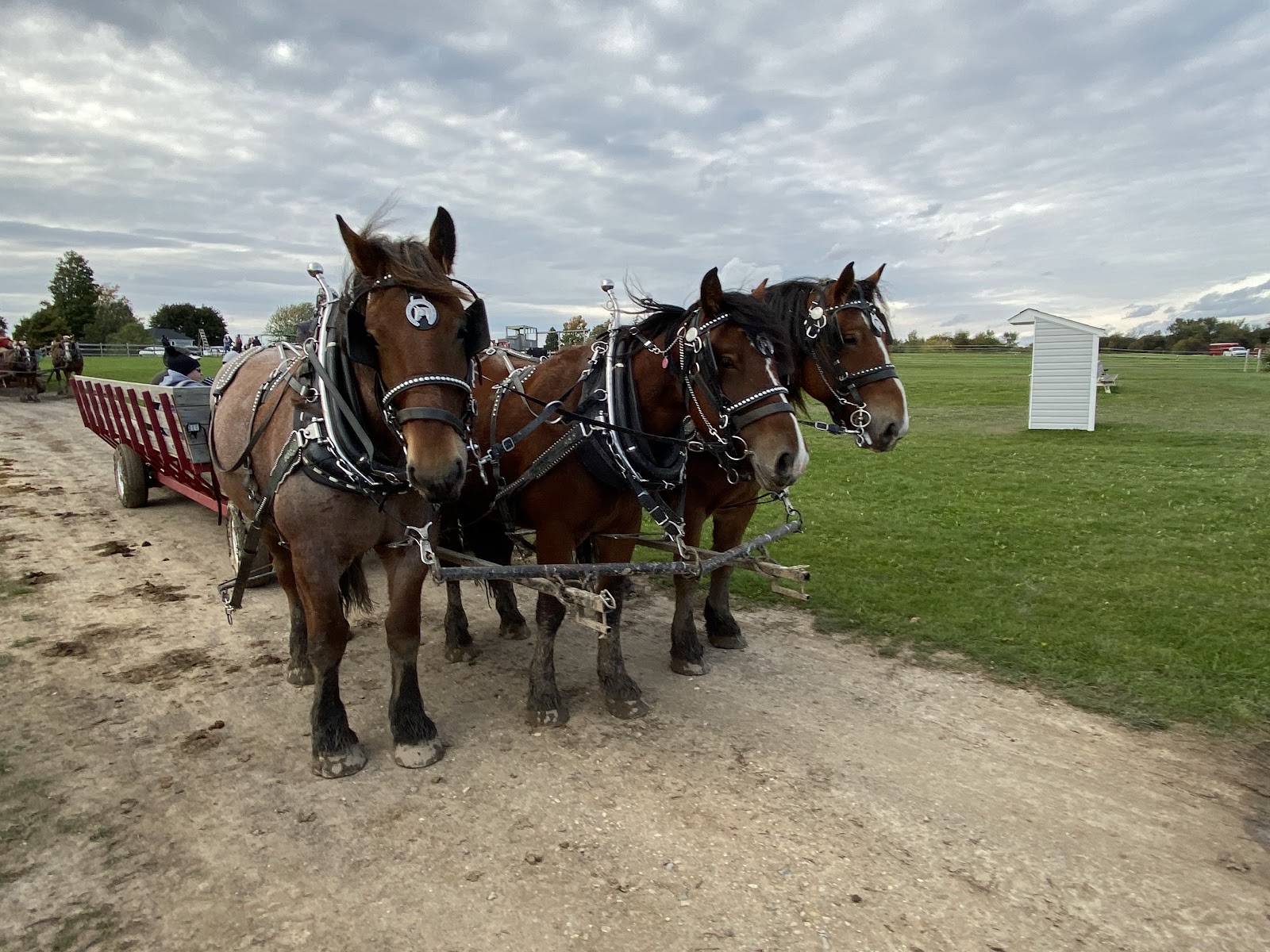 Fruit Ridge Hayrides LLC photo 5
