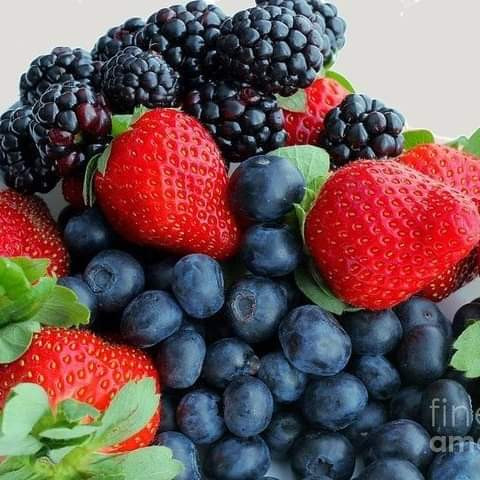 Driving Wind Berry Farm & Cafe