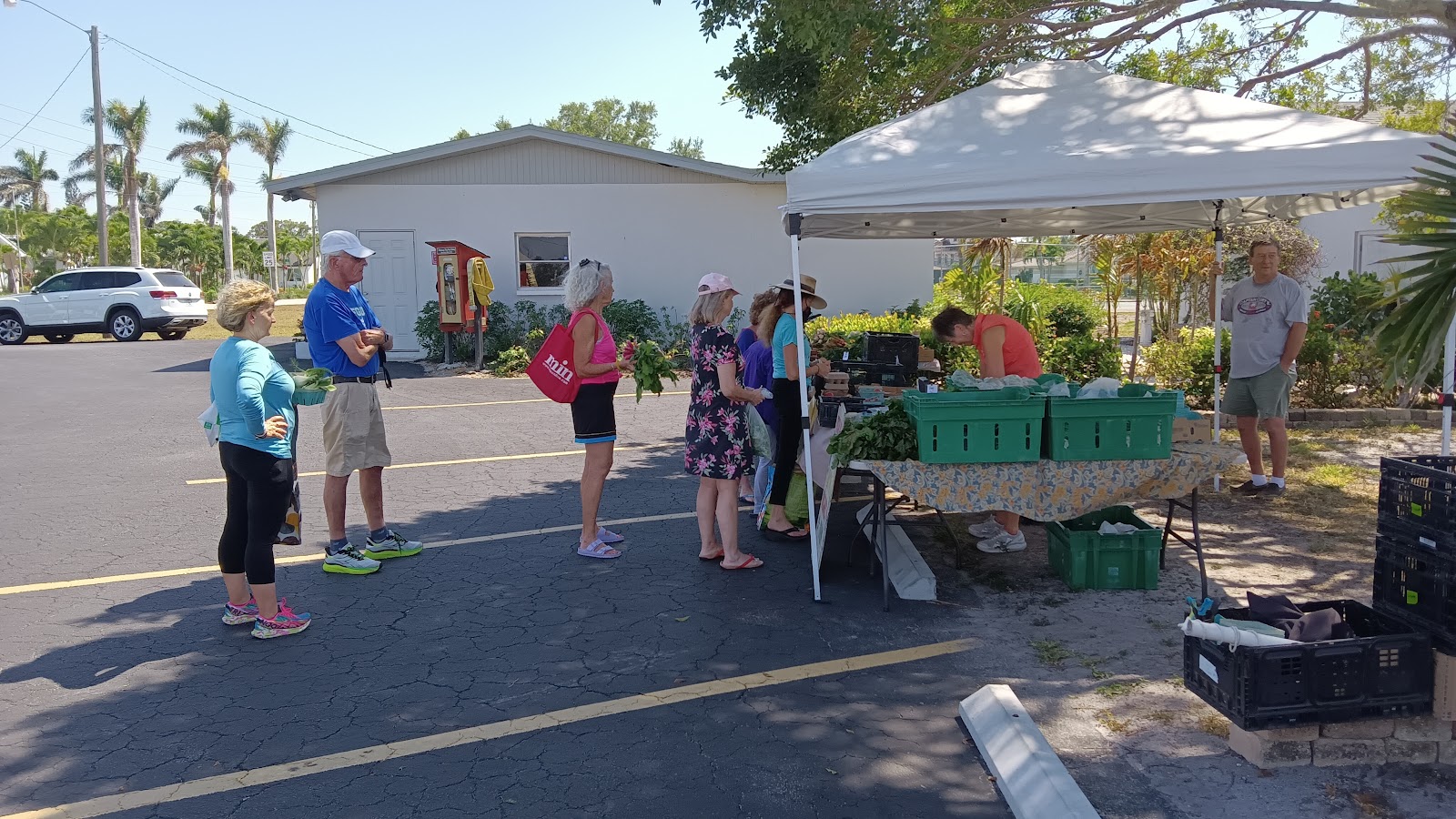 Bonita Shores Club Farmer's Market photo 2