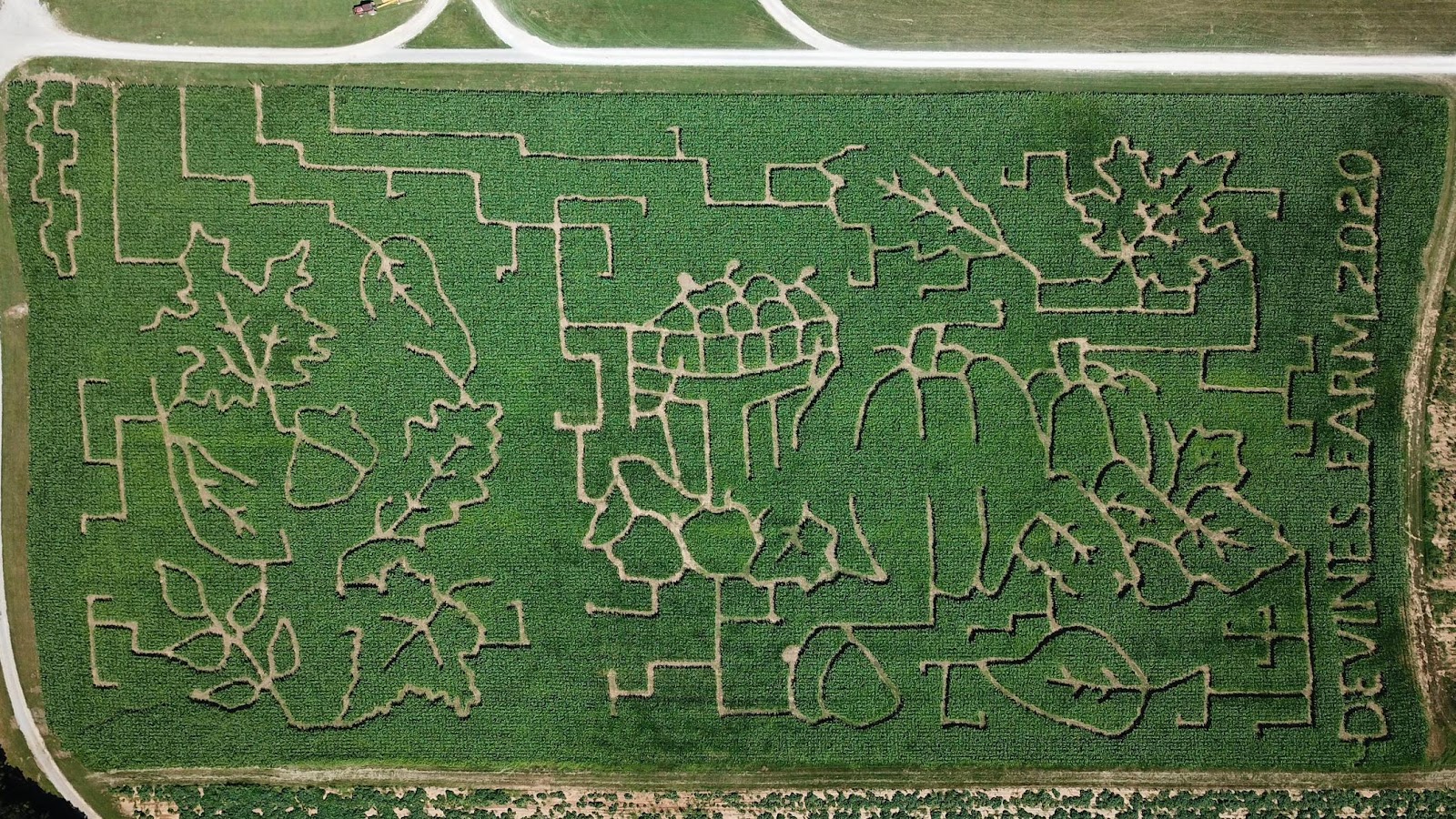 Devine's Corn Maze & Pumpkin Patch photo 4