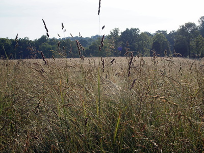 Stony Branch Growers photo 13