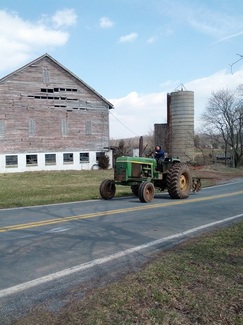 Stony Branch Growers photo 16