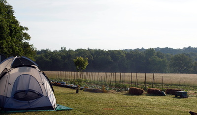 Stony Branch Growers photo 17