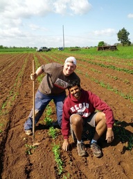 Stony Branch Growers photo 24