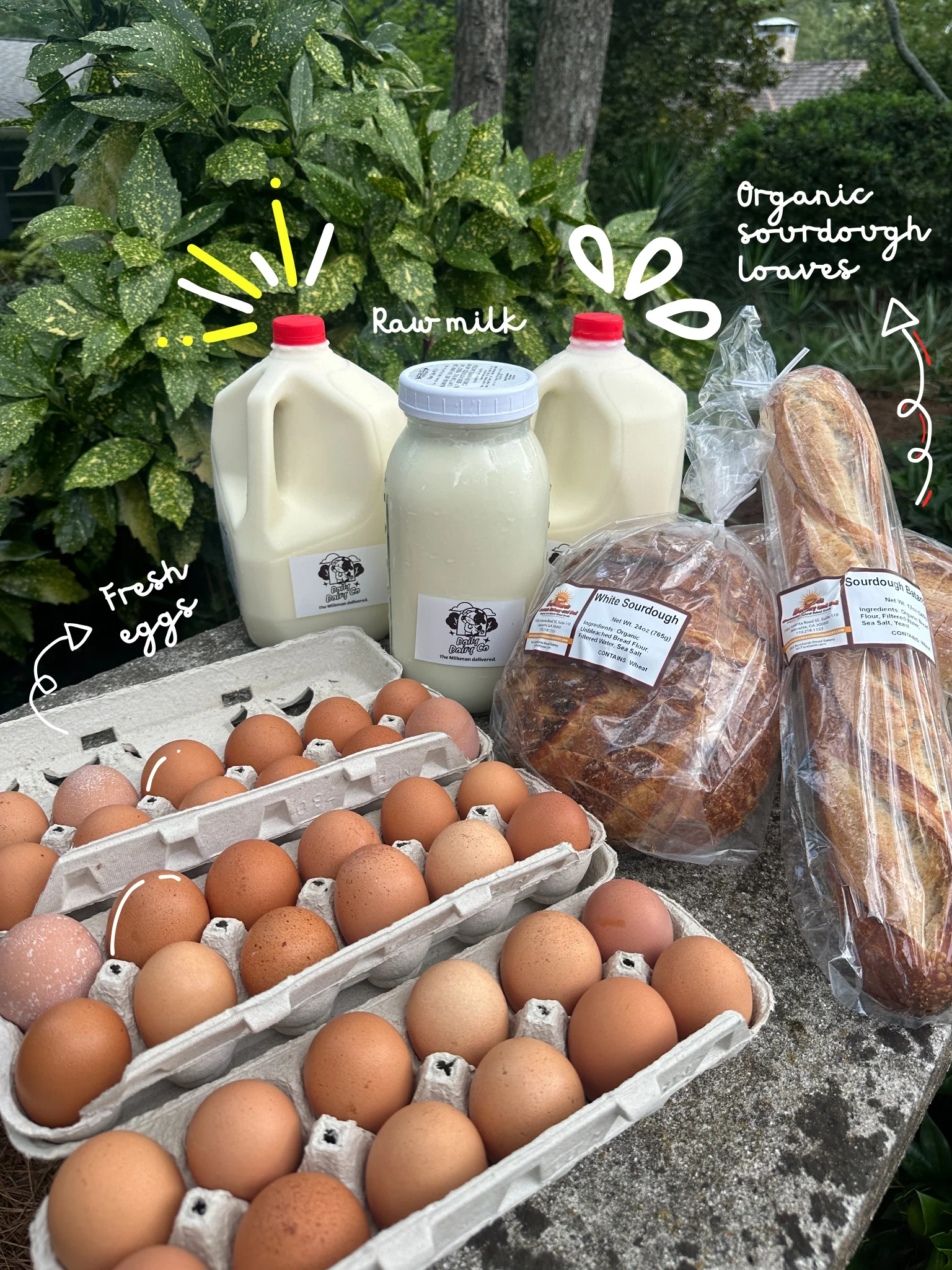 Atlanta Delivery – Daily Dairy Co