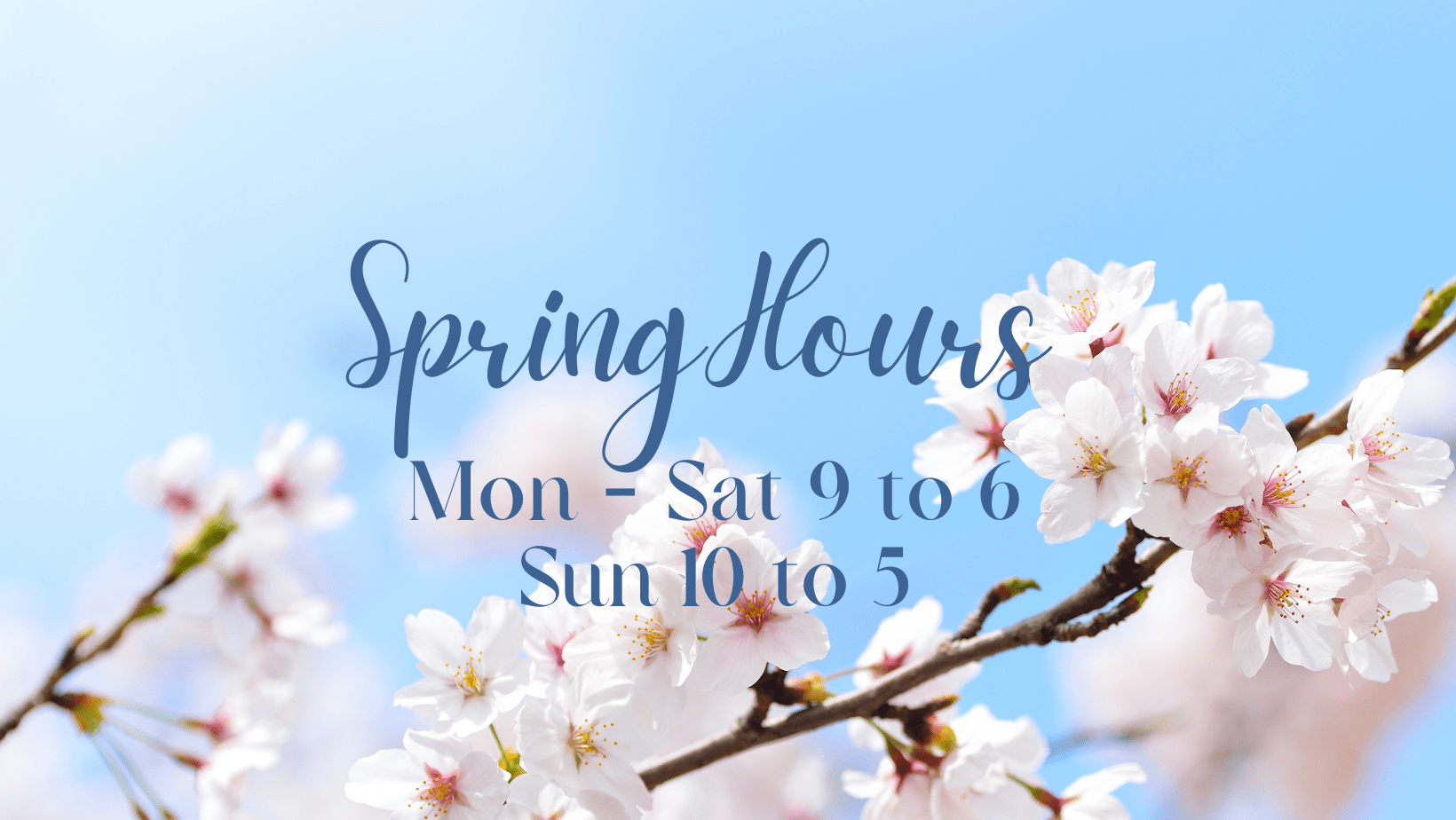 North End Organic Nursery Farmers' Market