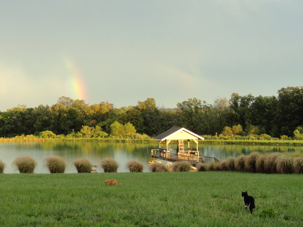 Windy Lake Farm