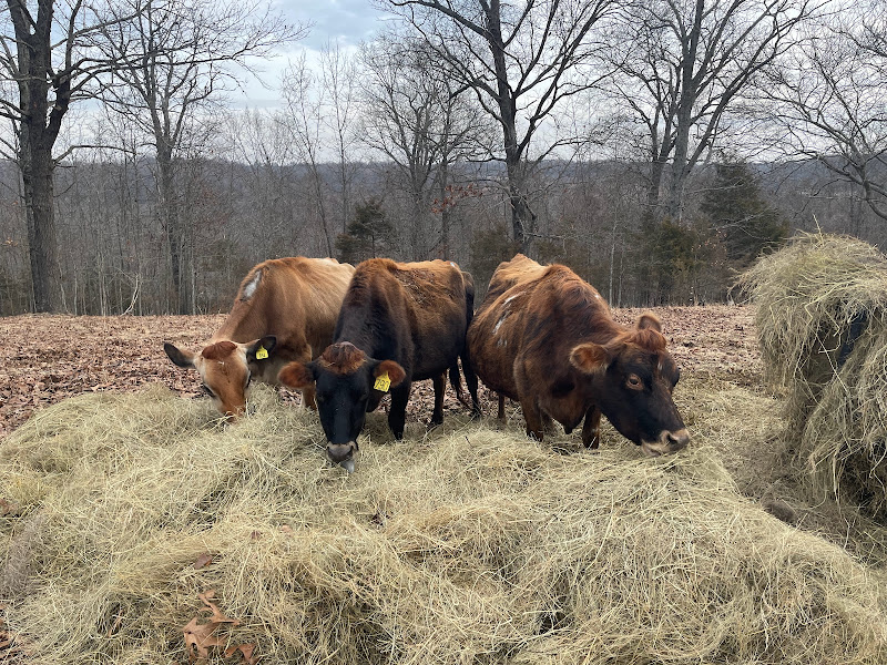 Melton Ridge Farms photo 3