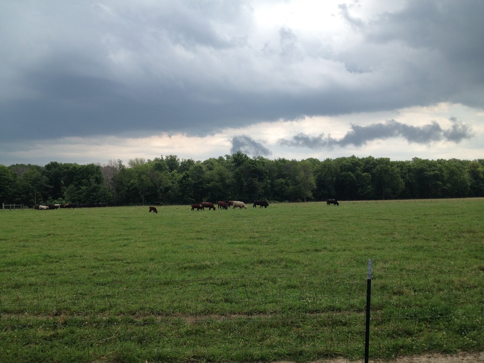 Kaminski Farms Meats photo 2
