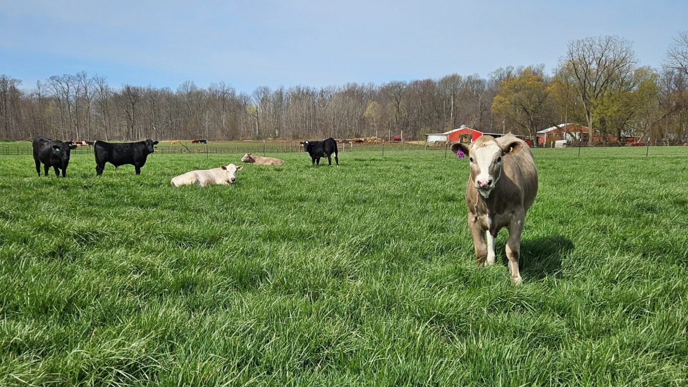 Kaminski Farms Meats