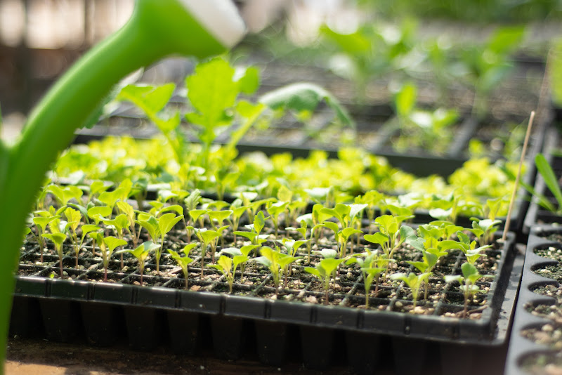 Robinson Family Farm