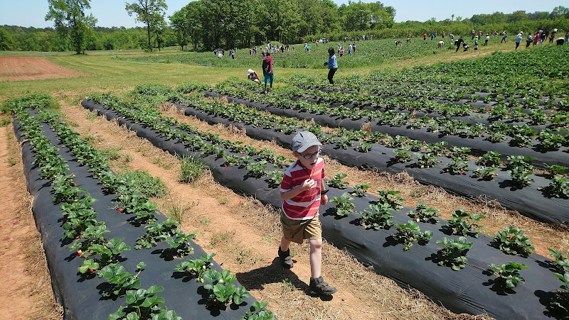 Robinson Family Farm photo 2