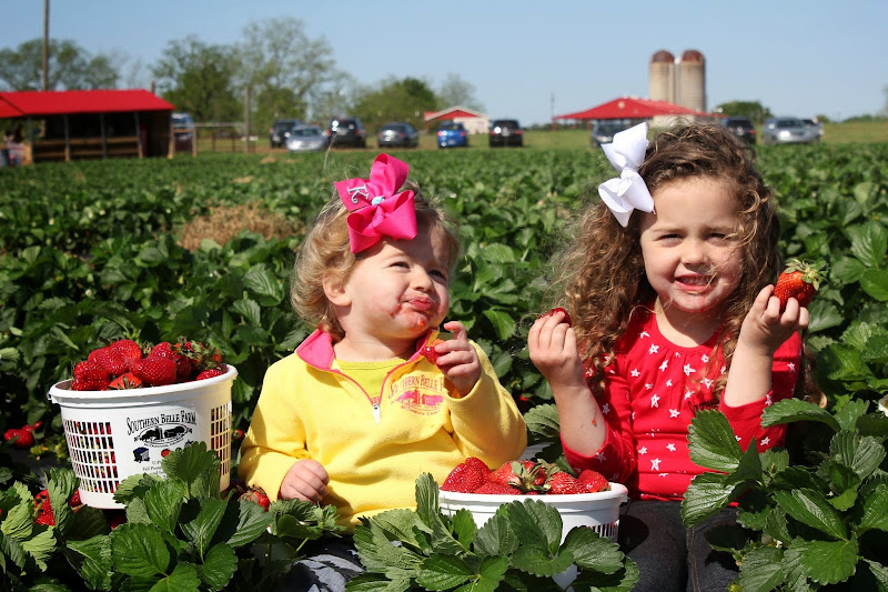 Robinson Family Farm photo 3