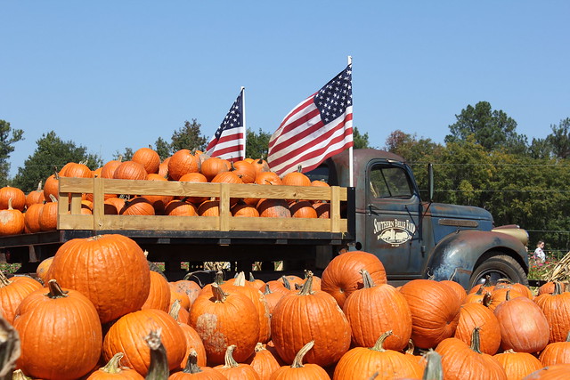 Robinson Family Farm photo 4