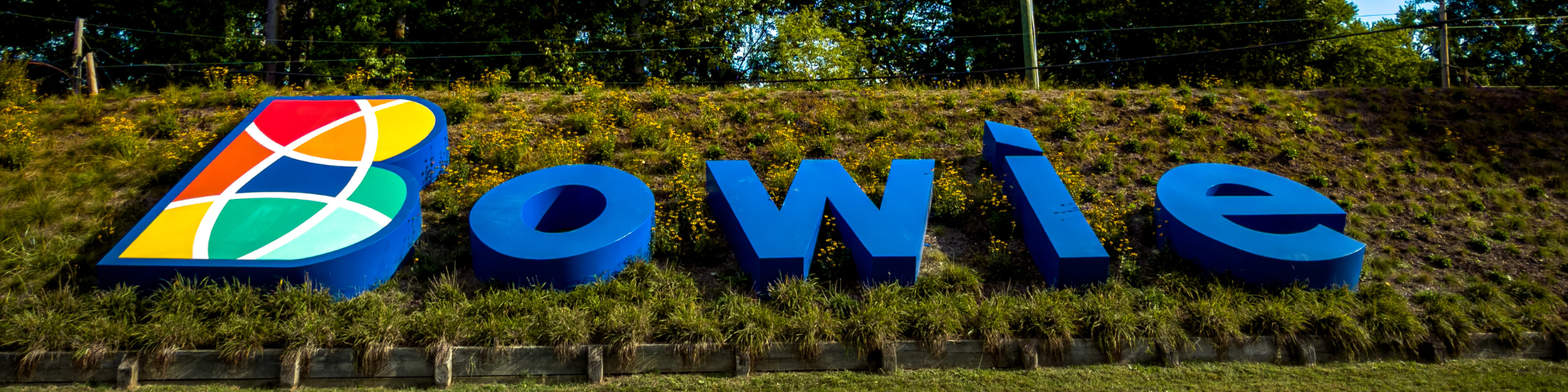 Bowie Farmers' Market photo 2