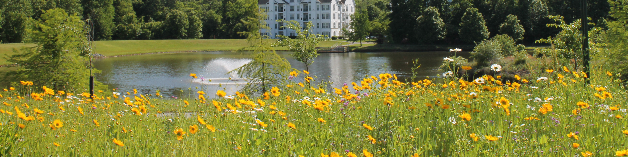 Bowie Farmers' Market