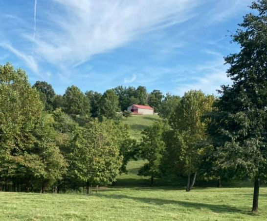 Rolling Springs Ranch photo 8