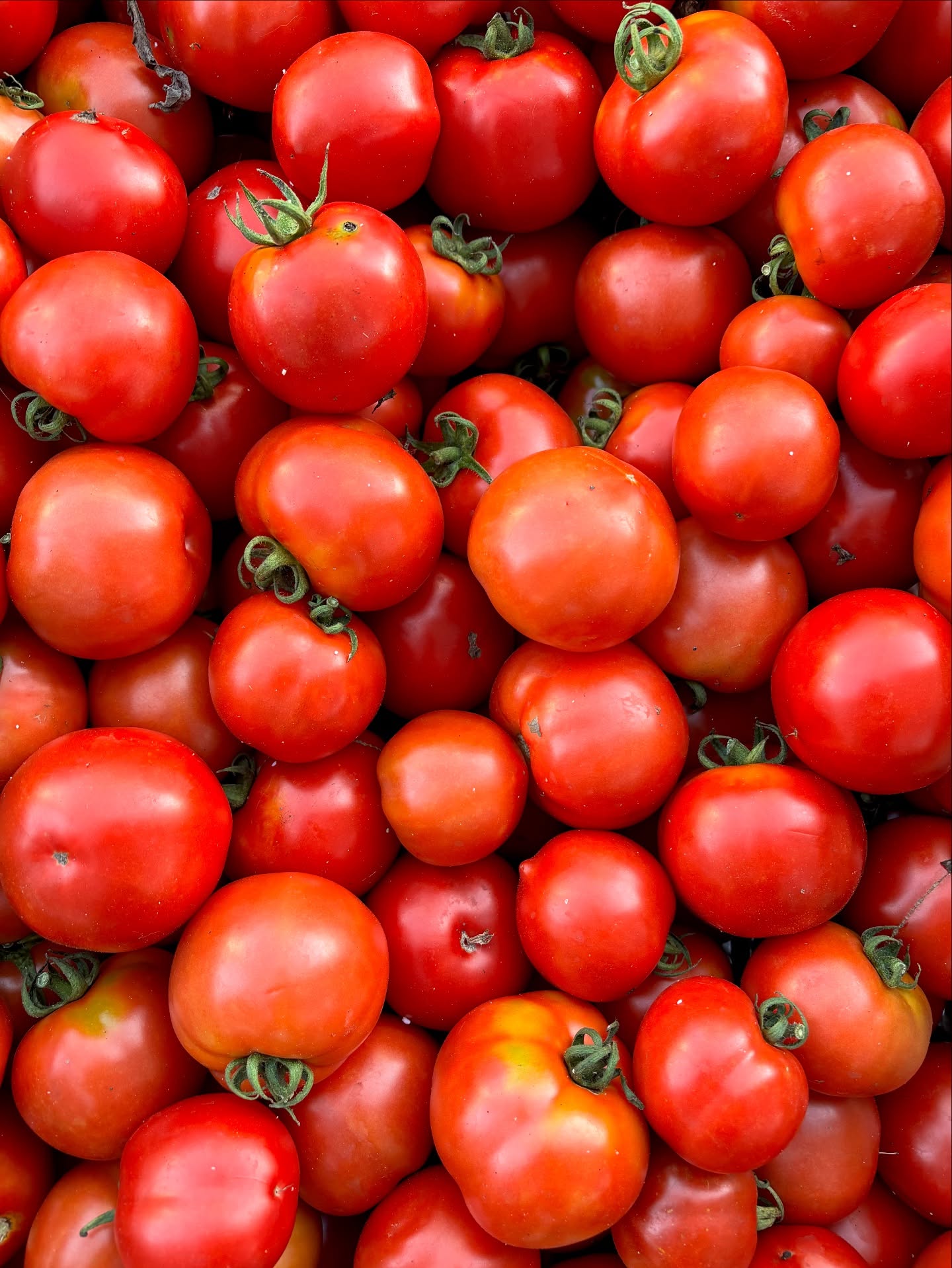 Cary Downtown Farmers Market