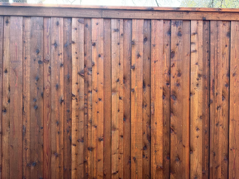 Heifer, Hog, & Hen photo 3