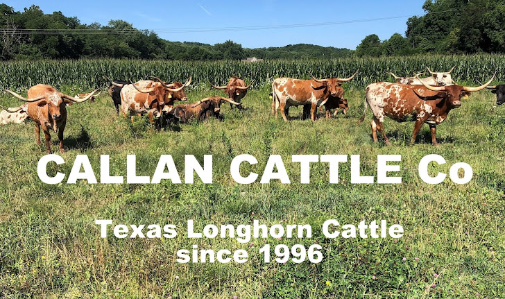 Callan Cattle Co. photo 2