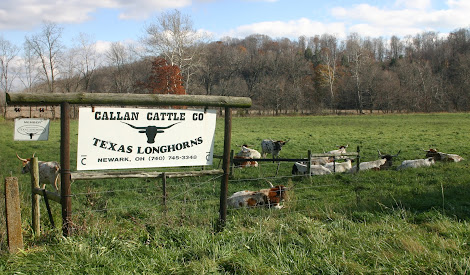 Callan Cattle Co. photo 3