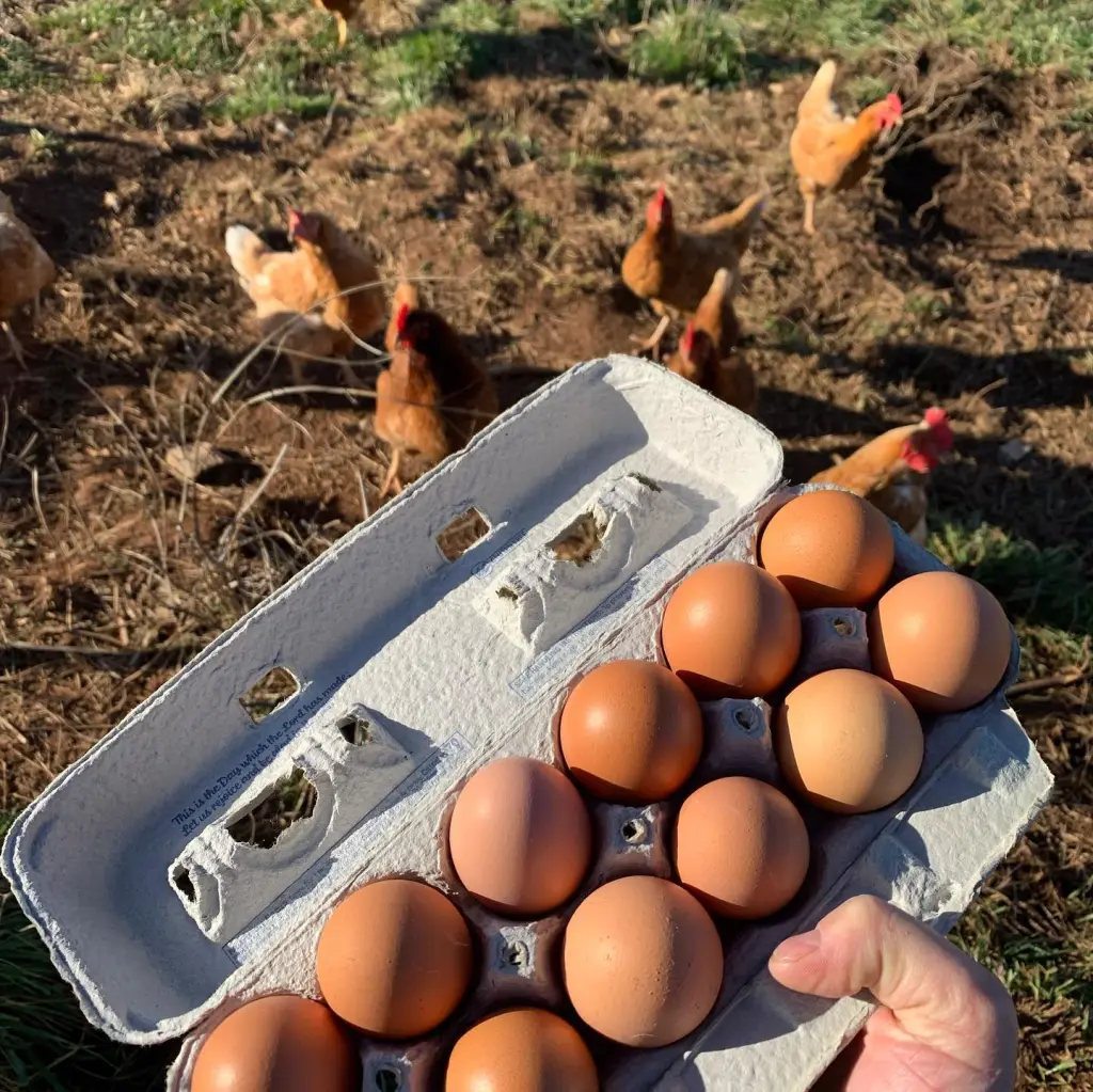 Triple J Farm SC, LLC photo 18