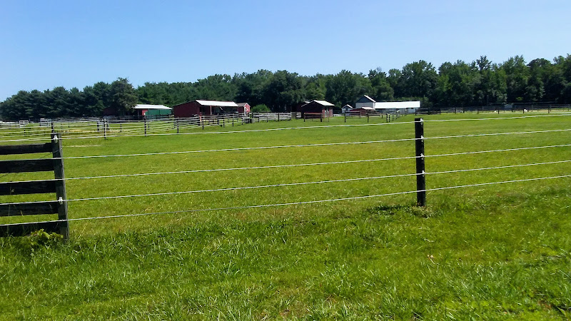 Terrapin Station Farm, LLC.