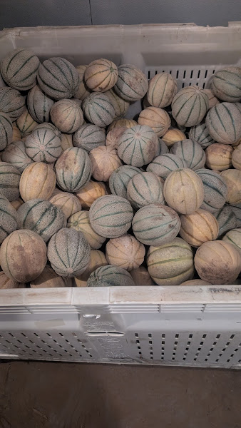 Acadian Family Farm LLC photo 2